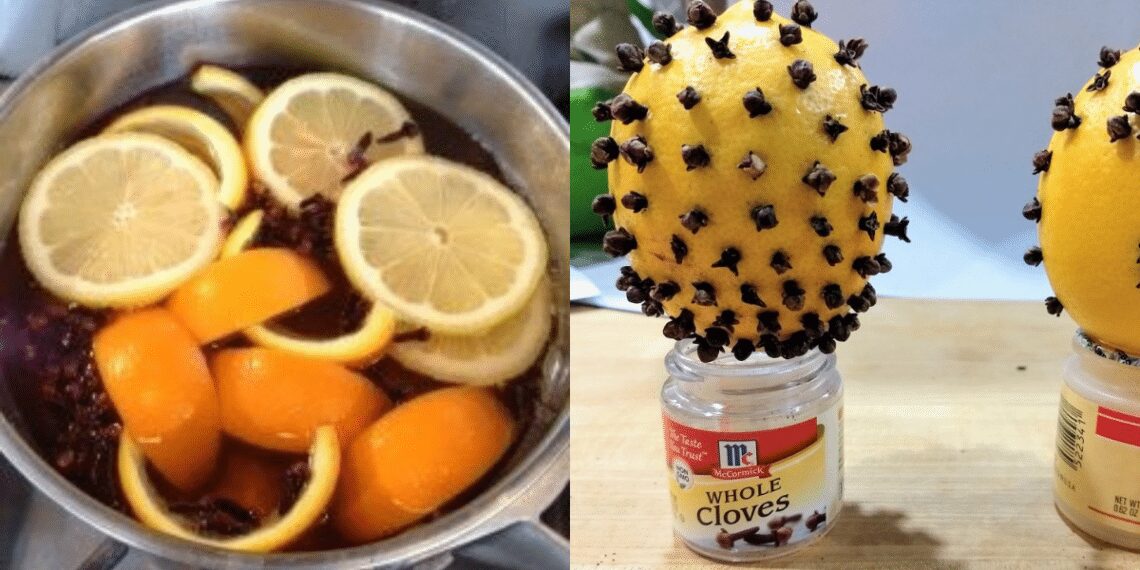 The Healing Power of Clove and Lemon: A Natural Duo for Health and a Happier Home
