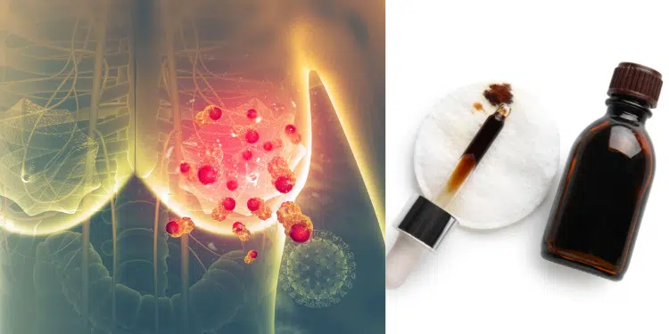 Japan Has a 66% Lower Breast Cancer Rate than the U.S. – This is the Nutrient You’re Missing