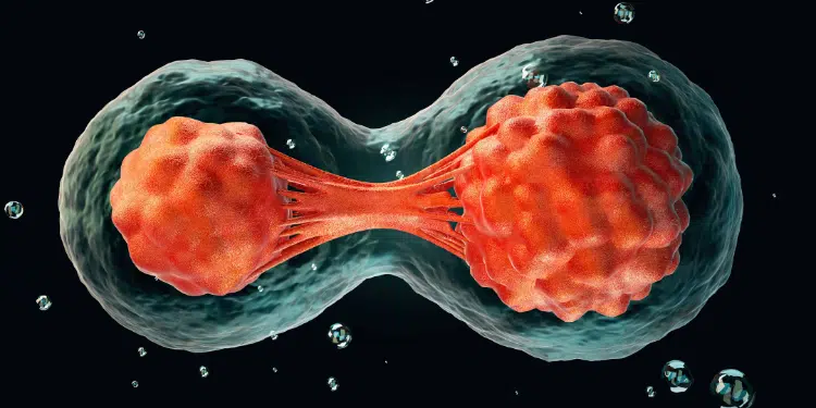 Starve Cancer to Death by Removing This One Thing From Your Diet