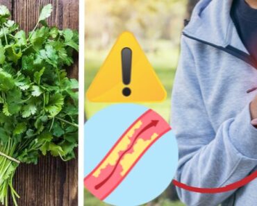 After Reading This You Will Never Look at Cilantro the Same Way After Reading This You Will Never Look at Cilantro the Same Way