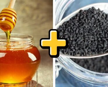 Honey with Black Cumin Seeds: The Ancient Middle Eastern Remedy That Heals Everything